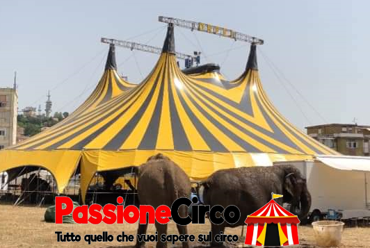 Circo Rinaldo Orfei