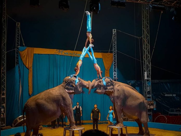A Reggio Calabria la fantastica arte circense del Circo Rinaldo Orfei
