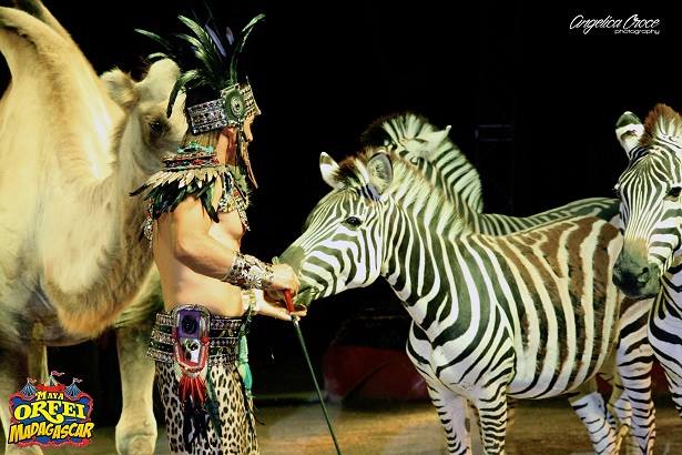 Il Maya Orfei Circo Madagascar pluripremiato al Festival di Montecarlo a Santa Maria Imbaro
