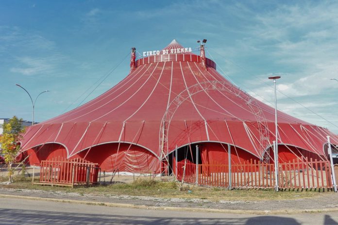 Siena: il circo, lo spettacolo riprende