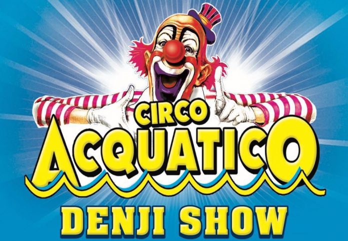circo acquatico denji show