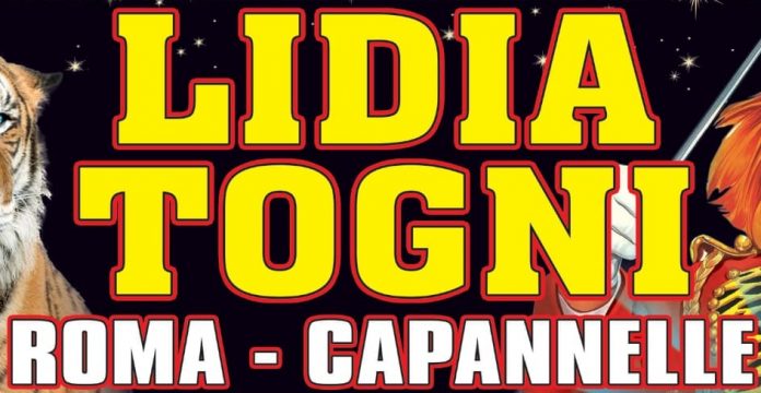 Festività natalizie : a Roma lo storico ed apprezzato Circo Lidia Togni di Davide Canestrelli