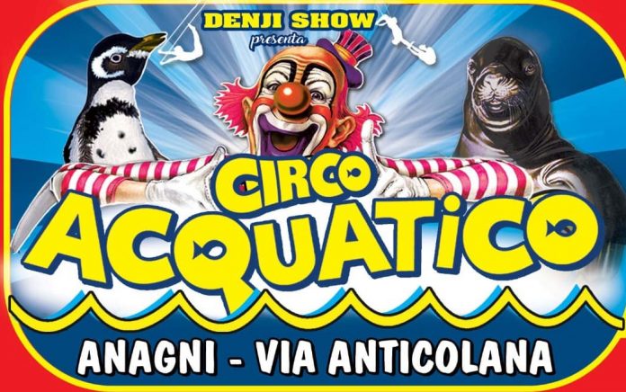circo acquatico denji show