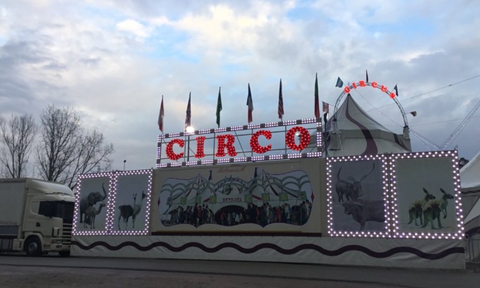 circo millennium