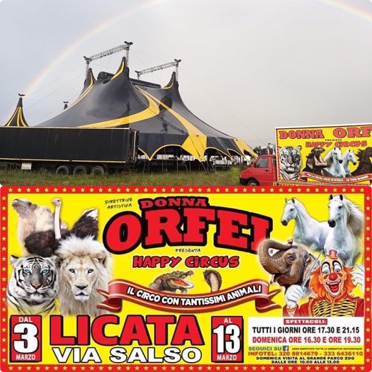 circo donna orfei happy circus