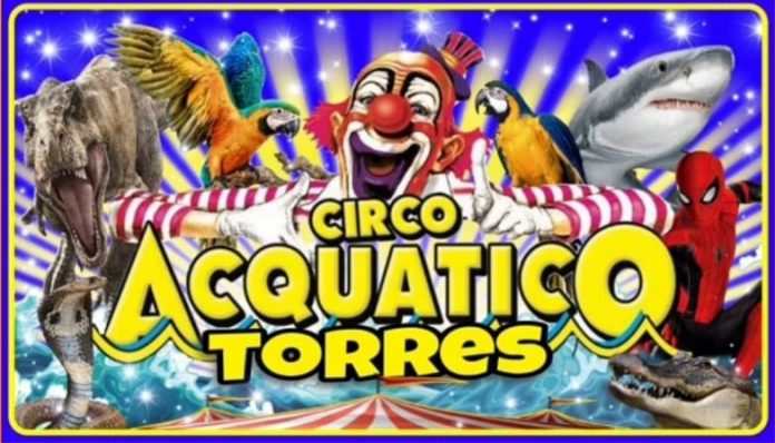 Circo Acquatico Torres