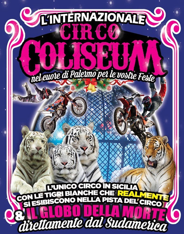 circo coliseum