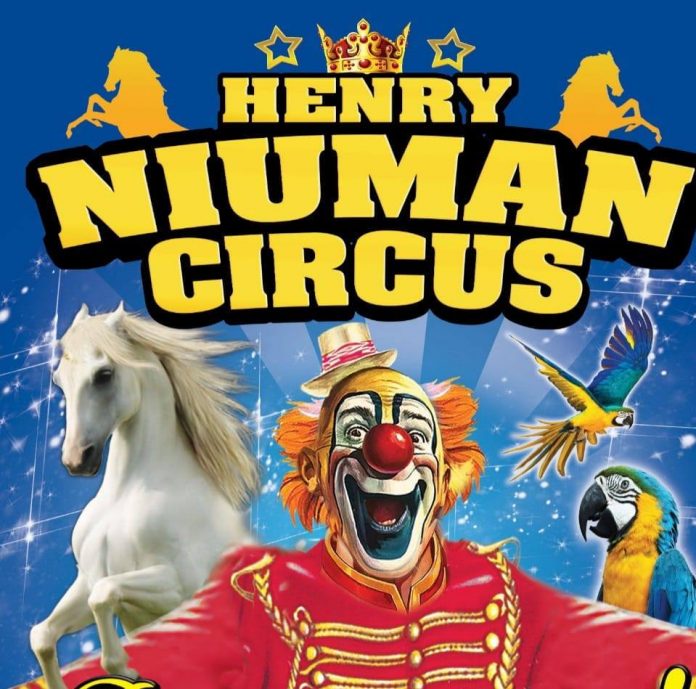 circo henry niuman