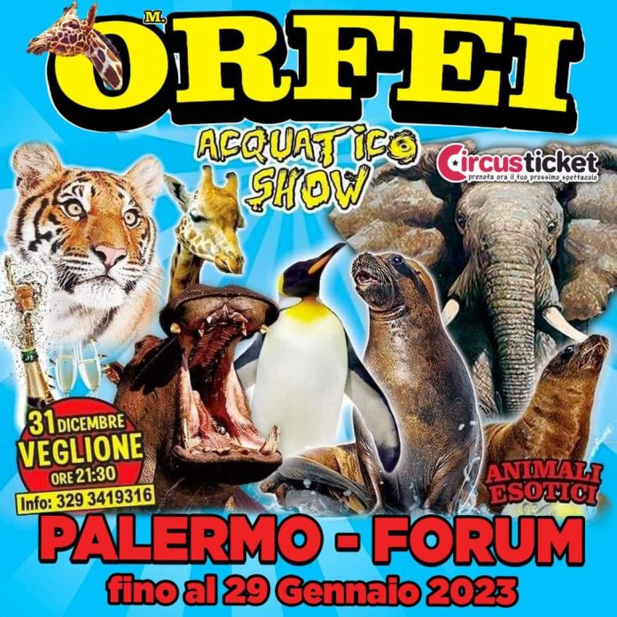 circo m.orfei