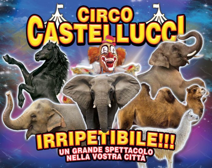 circo castellucci