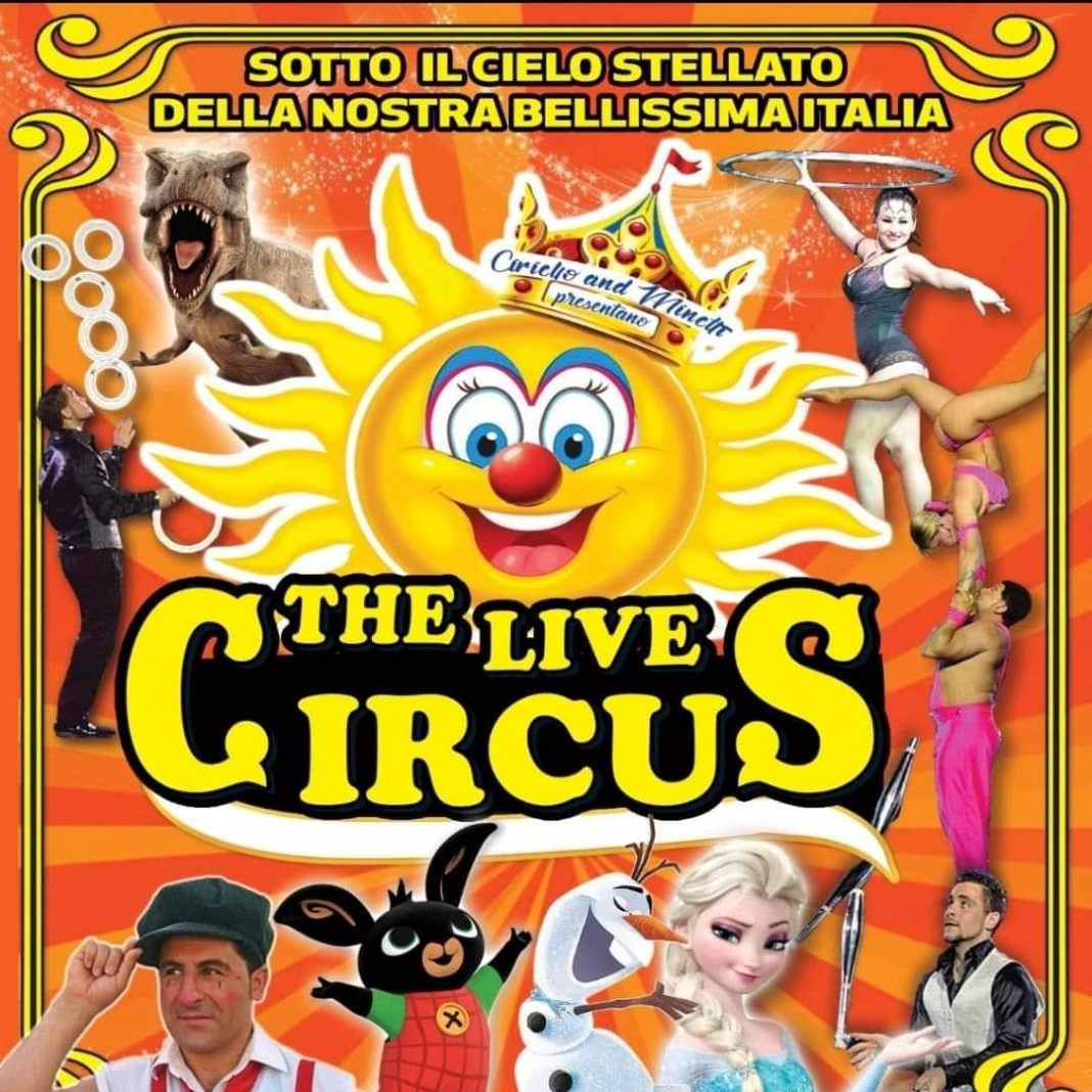 the live circus