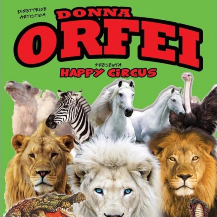happy circus - donna orfei