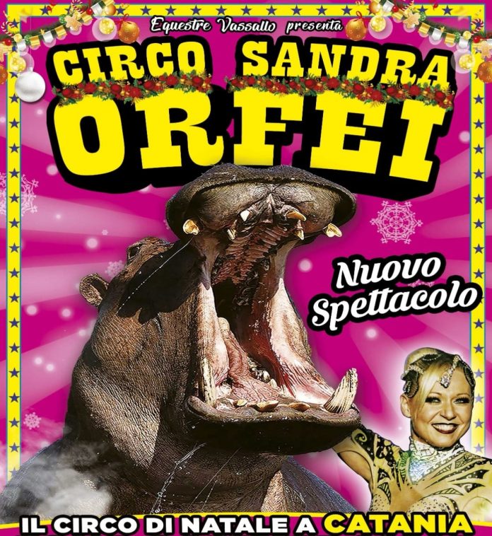 Circo Sandra Orfei