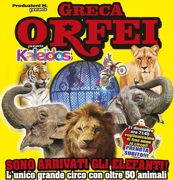 circo greca orfei