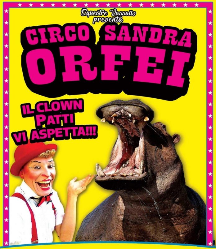 circo sandra orfei