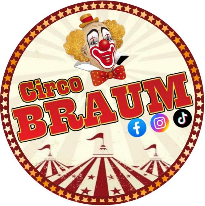 circo braum